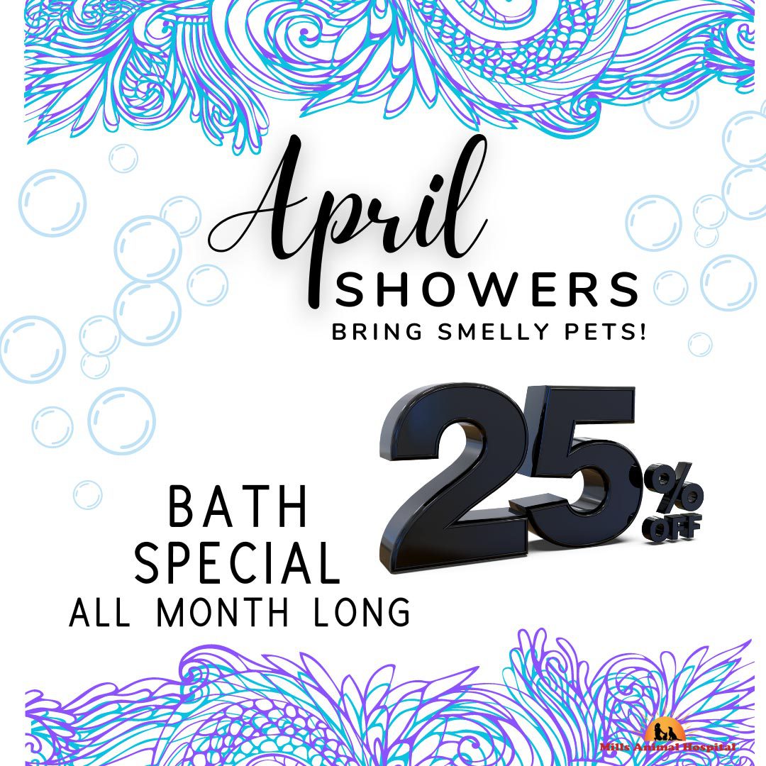 April Showers Promo