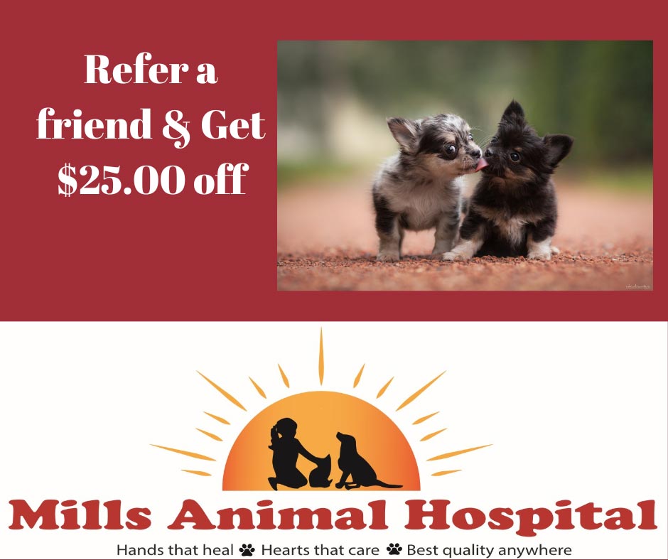 Refer A Friend