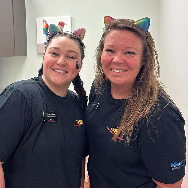 Team Members Wearing Cat Ears