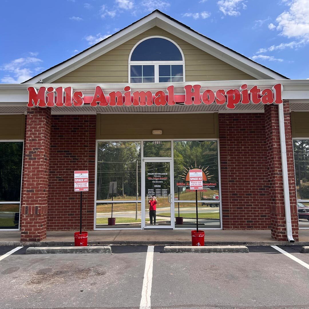 Mills Animal Hospital Acworth Exterior Building