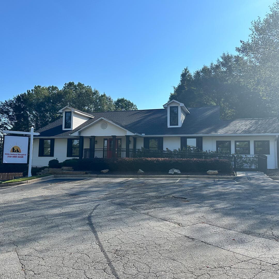 Mills Animal Hospital Marietta Exterior Building