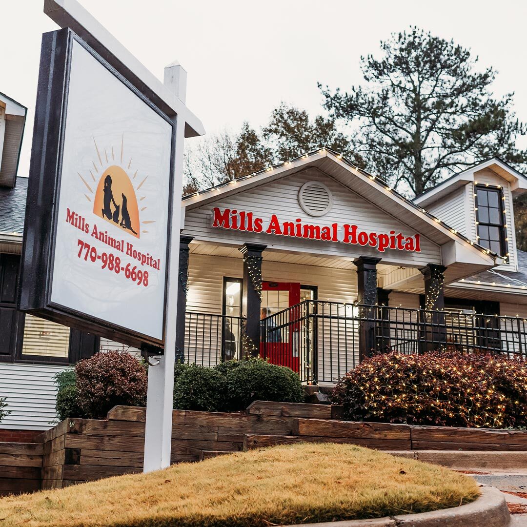 Mills Animal Hospital Marietta Exterior With Sign