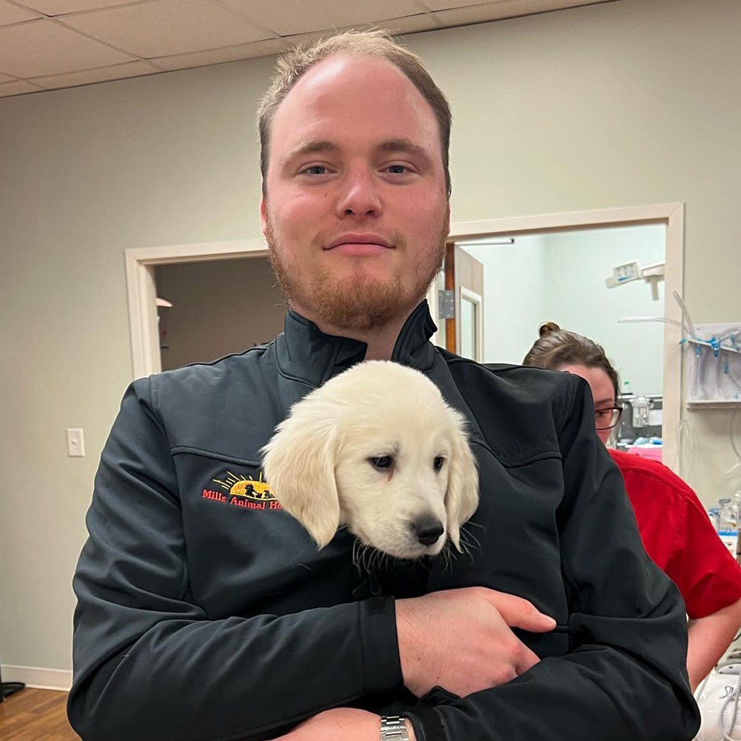 Tech Holding Puppy In Jacket